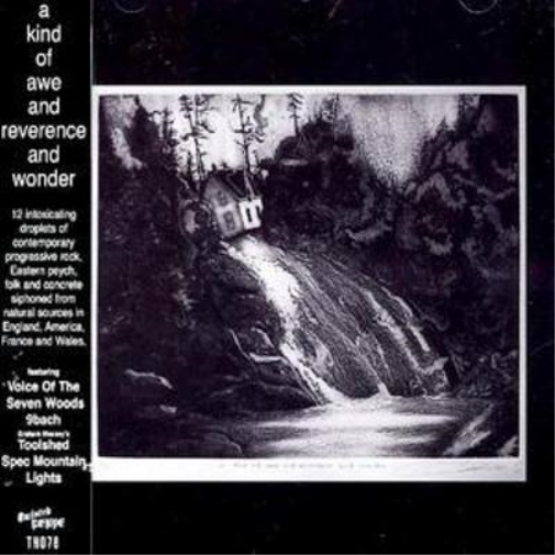 Various Artists A Kind of Awe and Reverence (CD) Album
