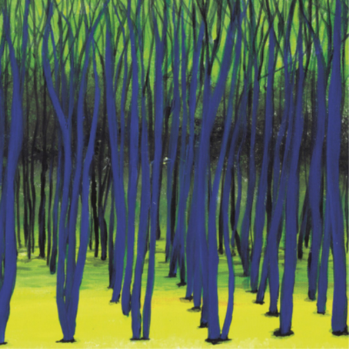 Tim Engelhardt Rooted (Vinyl LP) 12" EP
