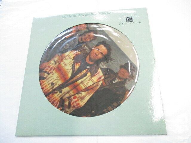 MARILLION - DRY LAND - 12" PICTURE DISC VINYL BRAND NEW 1991