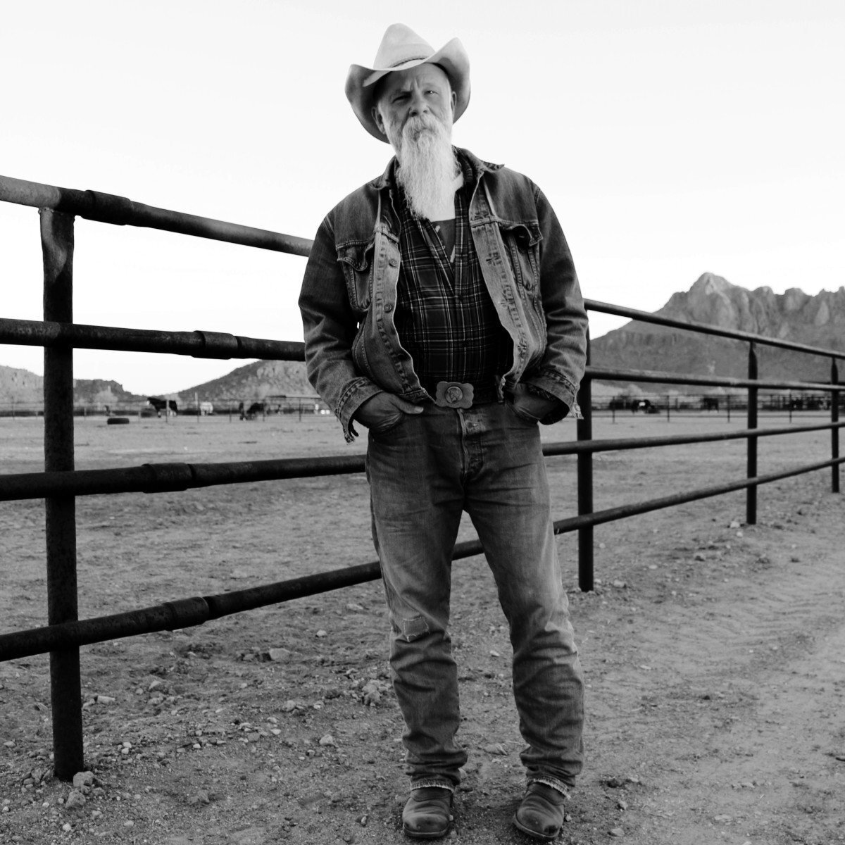 Vinile Seasick Steve - Keepin' The Horse Between Me And the Ground (2 Lp)