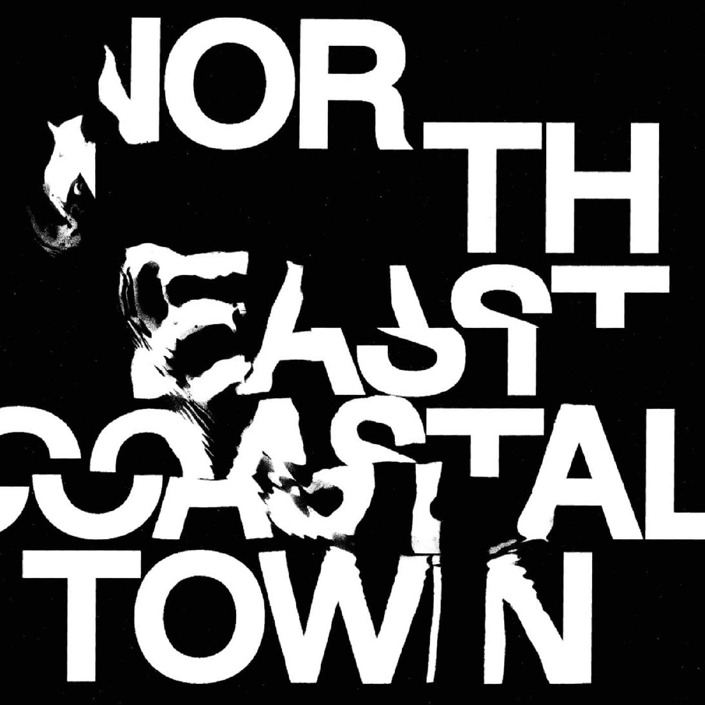 Life North East Coastal Town (Transparent Green) (Vinyl LP)