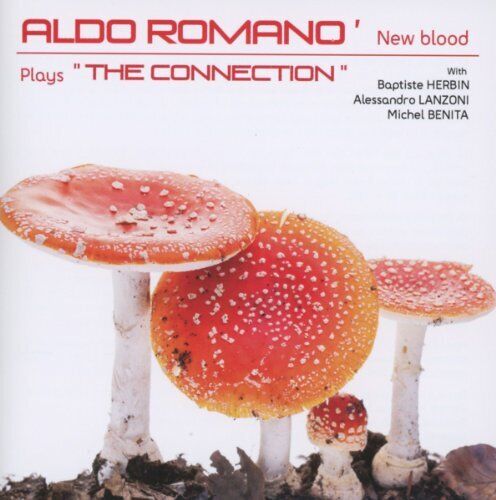 Aldo Romano - The Connection