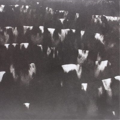 Heavy Winged Fields Within Fields (Vinyl LP) 12" Album