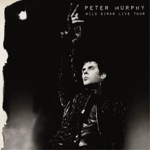 Peter Murphy Wild Birds Live Tour (Vinyl LP) 12" Album Coloured Vinyl