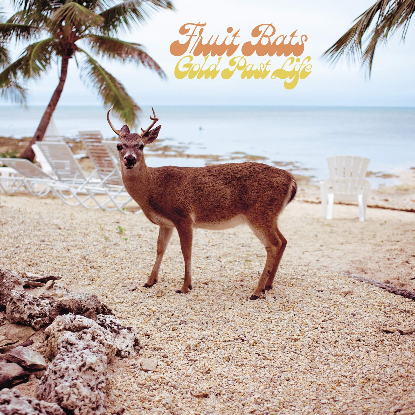 Fruit Bats Gold Past Life (Opaque Aqua) (Vinyl LP)