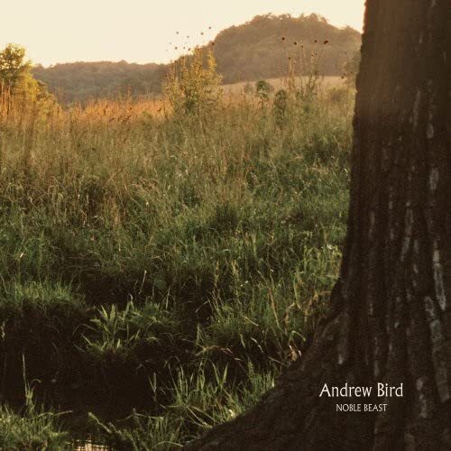 Andrew Bird Noble Beast (Vinyl LP)