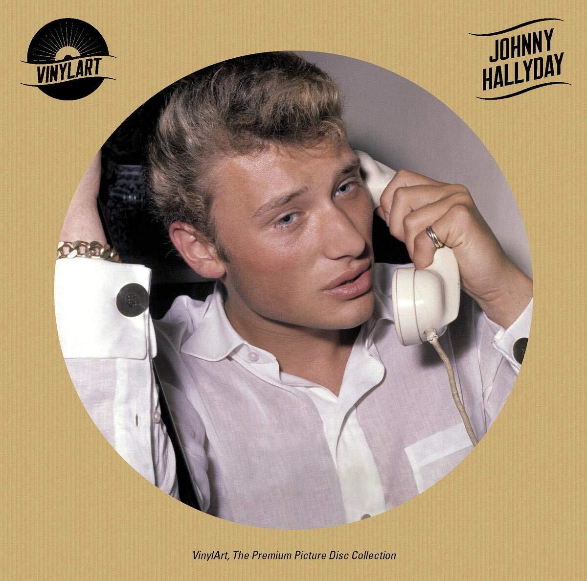 Hallyday,Johnny Vinylart,the Premium Picture Disc Collection (Vinyl LP)