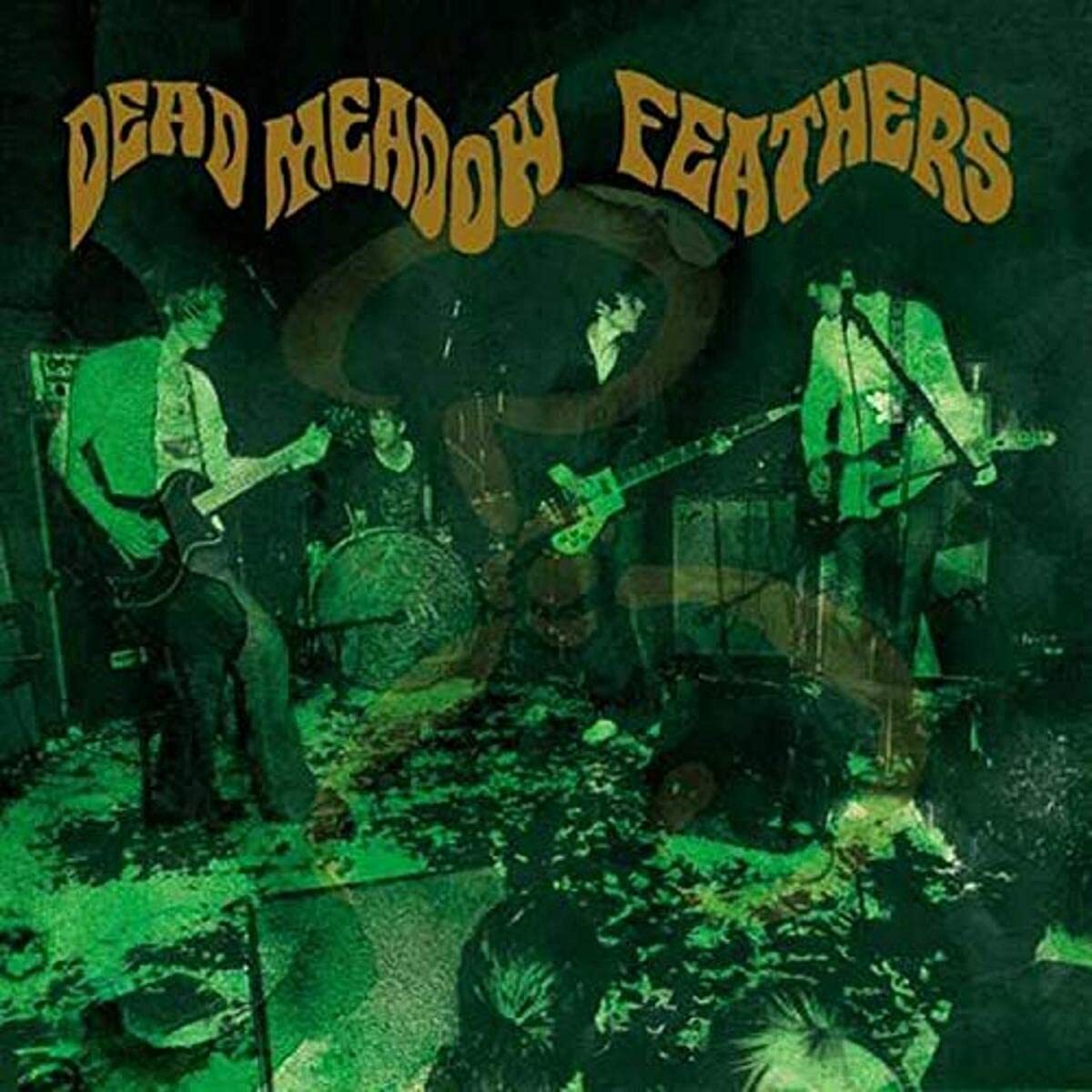 Dead Meadow Feathers (Vinyl LP)