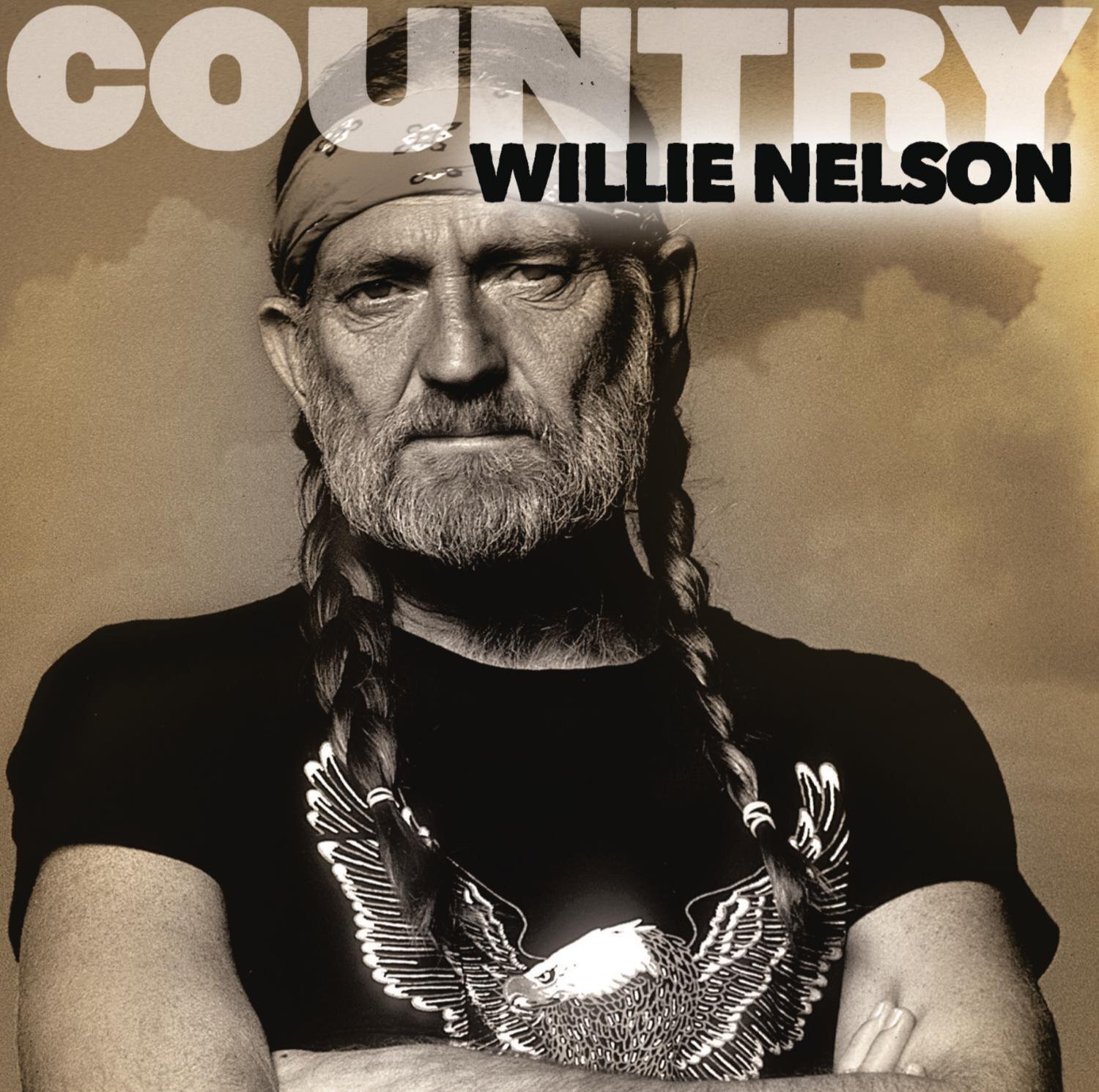 Willie Nelson Country: Willie Nelson (CD)