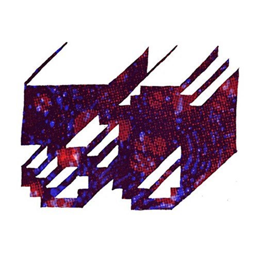 Ramp 50 - Various Artists (Audio CD)