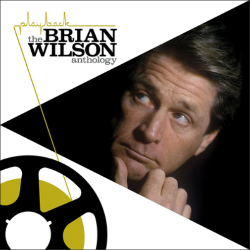 Brian Wilson Playback: The Brian Wilson Anthology (Vinyl LP) 12" Album
