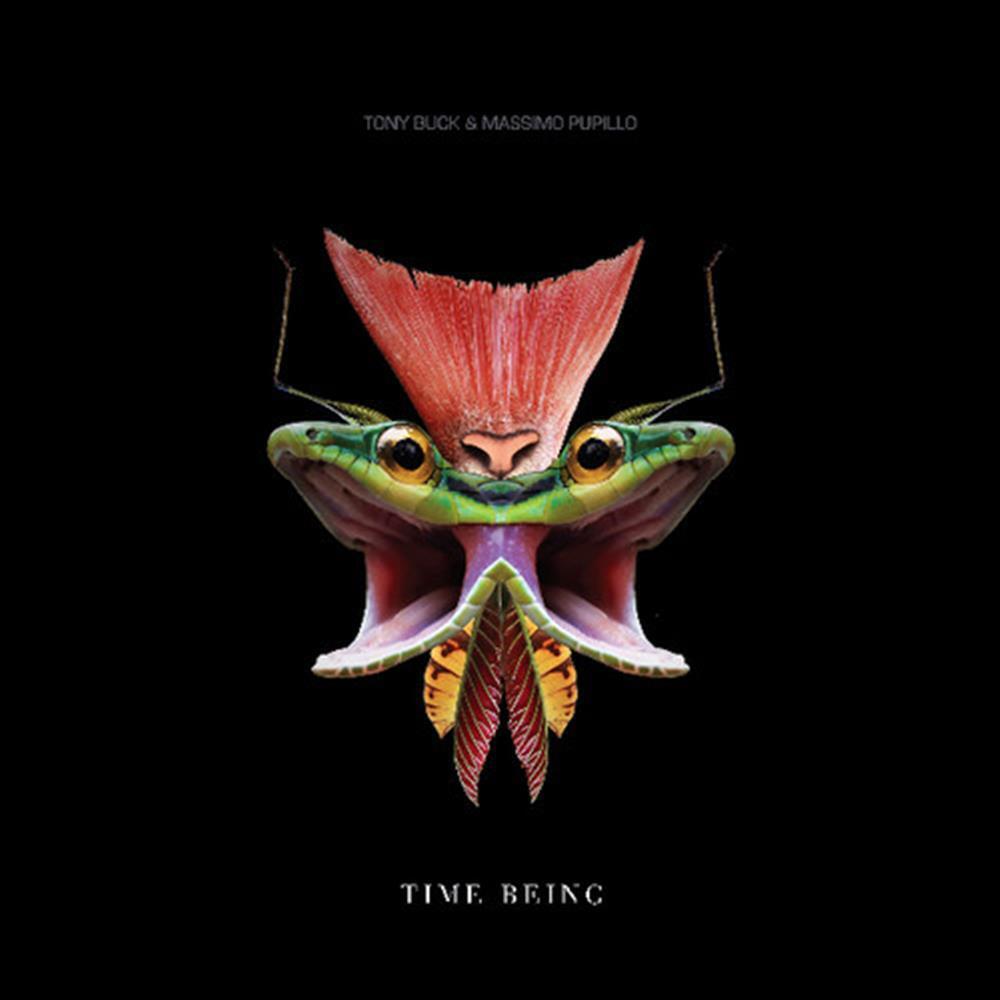 Time Being - Tony Buck And Massimo Pupillo (Vinile)