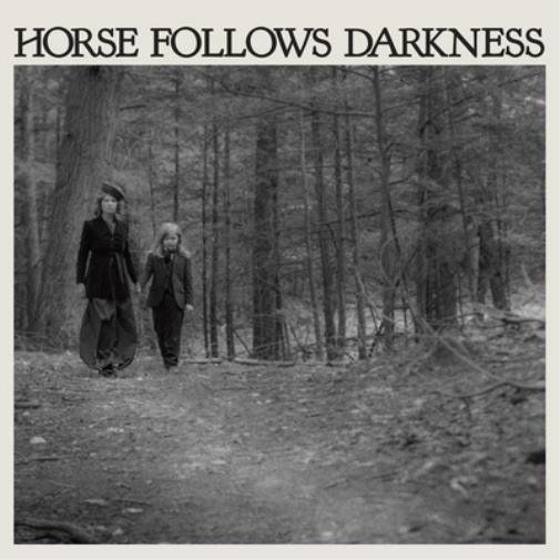 Delia Gonzalez Horse Follows Darkness (Vinyl LP) 12" Album