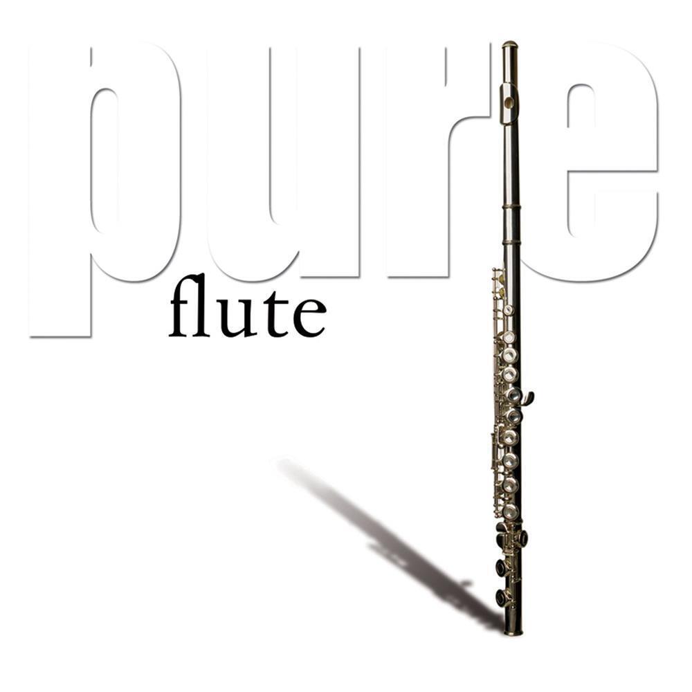 Pure Flute - Various Artists (Audio CD)