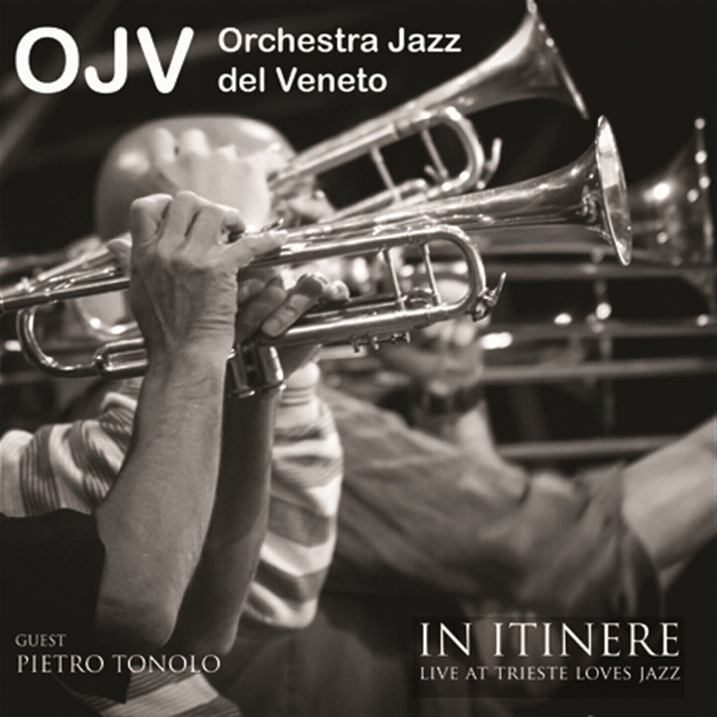 Orchestra Jazz Del Veneto - In Itinere
