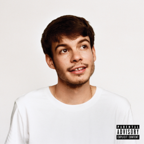 Rex Orange County Pony (Vinyl LP) 12" Album