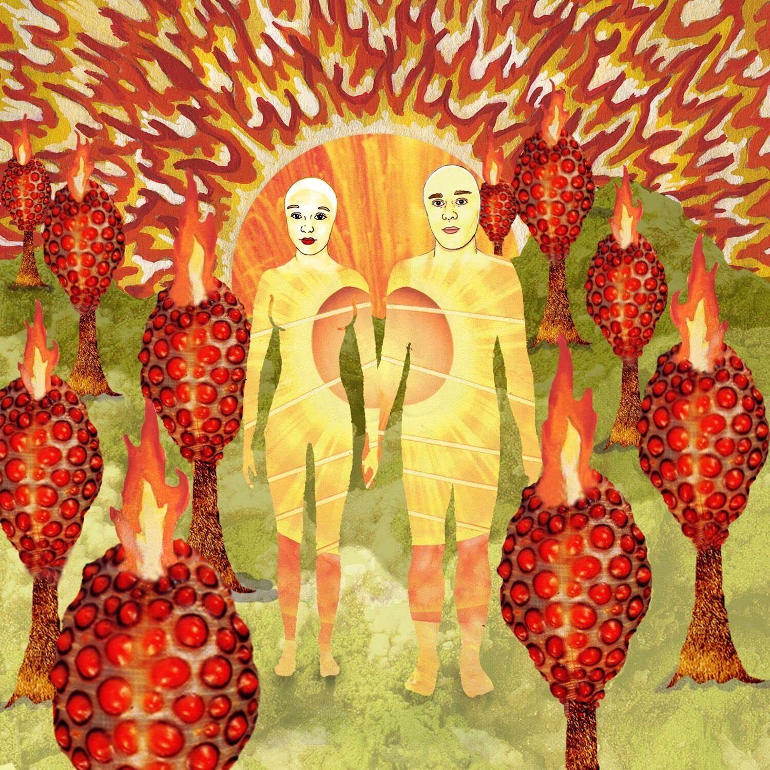 of Montreal The Sunlandic Twins (CD)