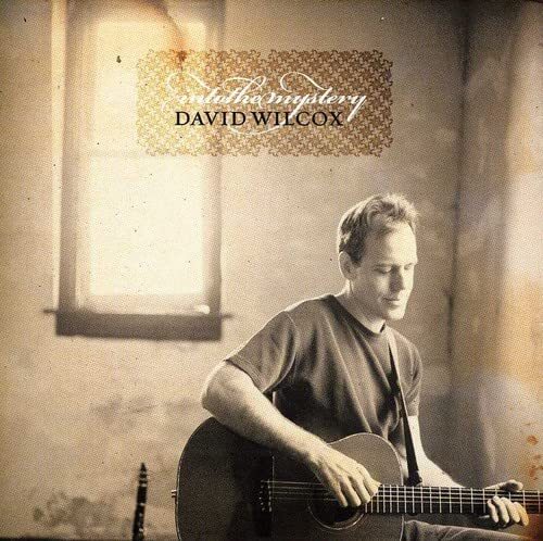 David Wilcox (American) Into The Mystery (CD)