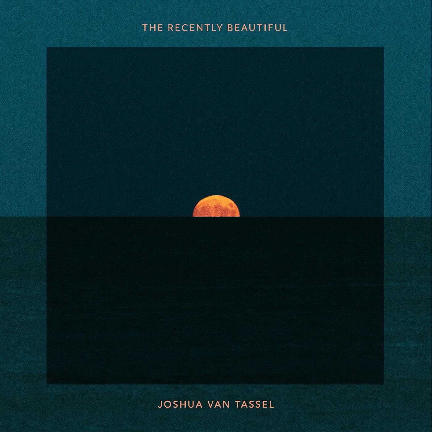Joshua Van Tassel The Recently Beautiful (Vinyl LP)