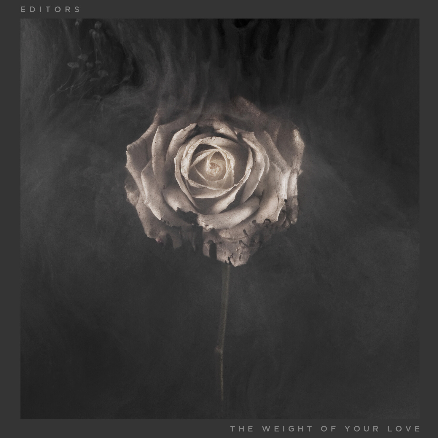 Editors The Weight of Your Love (CD) Limited  Album