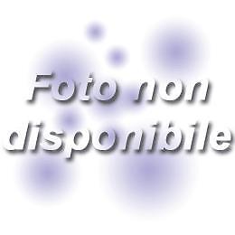 LA FAVOLA DI BABBO NATALE  CD+LIBRO