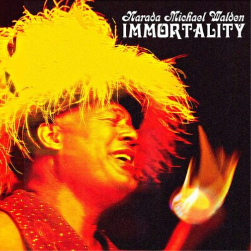 Narada Michael Walden Immortality (Vinyl LP) 12" Album