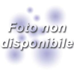 BRAVOM - TRIFOLA BELA  LISCIO-FOLK-INNI-CORI-BALLABILE