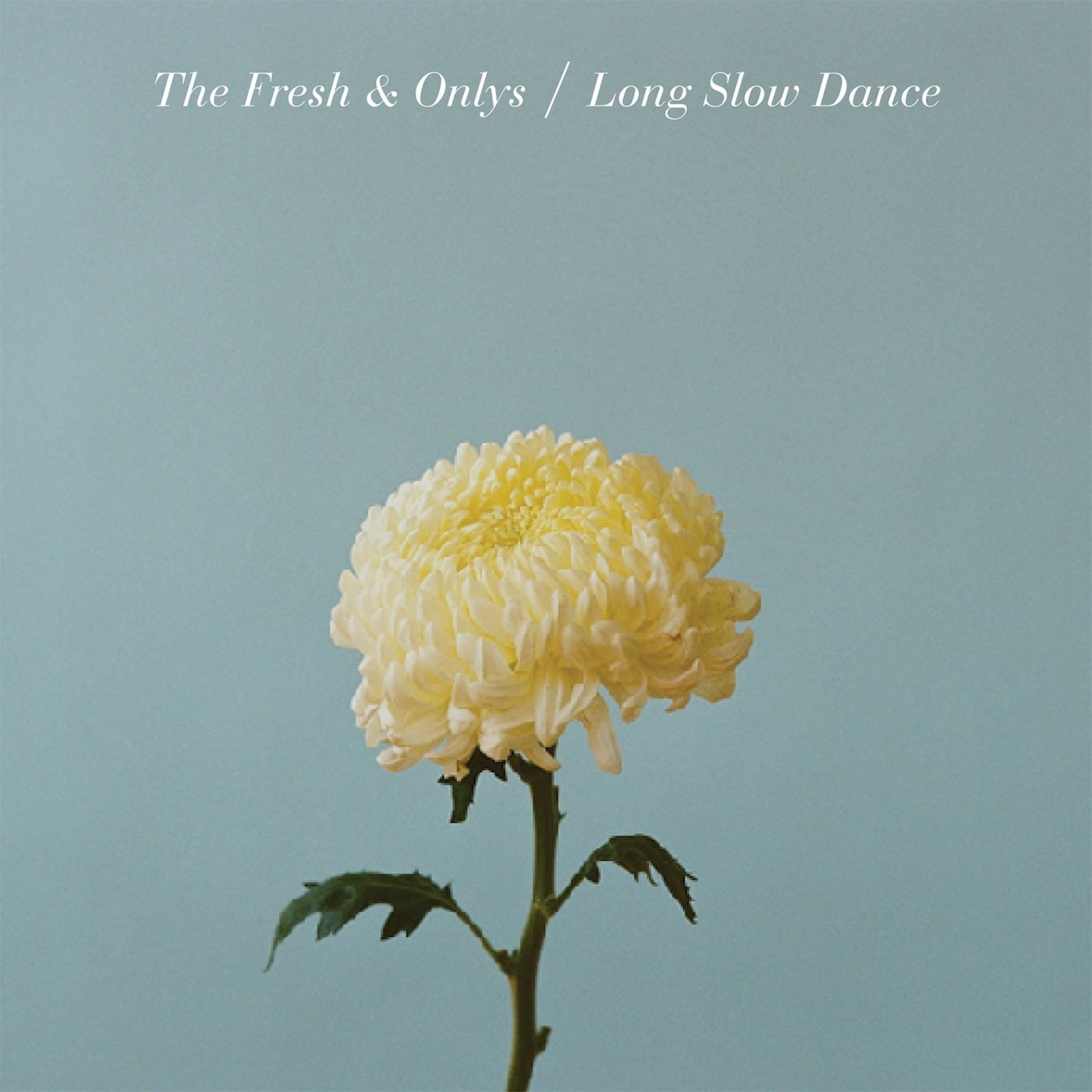 The Fresh & Onlys Long Slow Dance (CD)