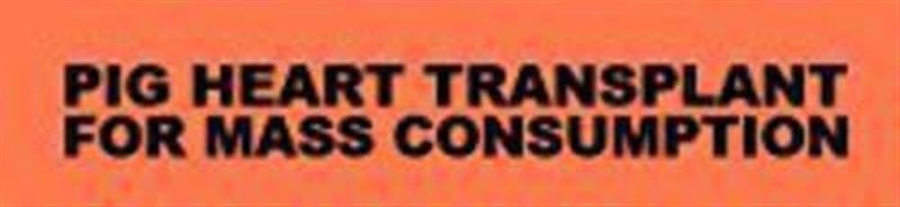 For Mass Consumption - Pig Heart Transplant (Audio cd)