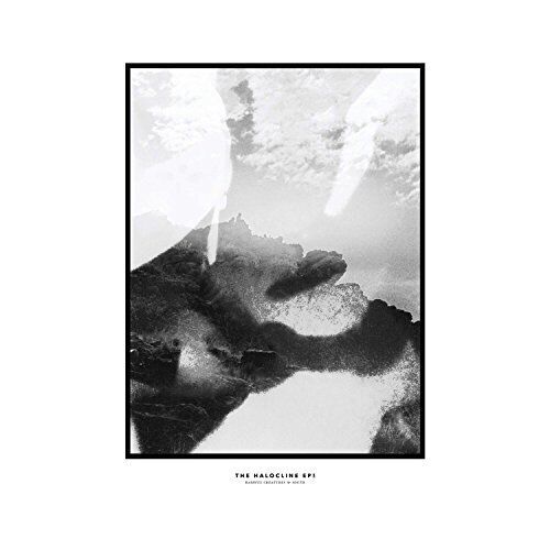 Hippo Campus The Halocline EPs (CD)