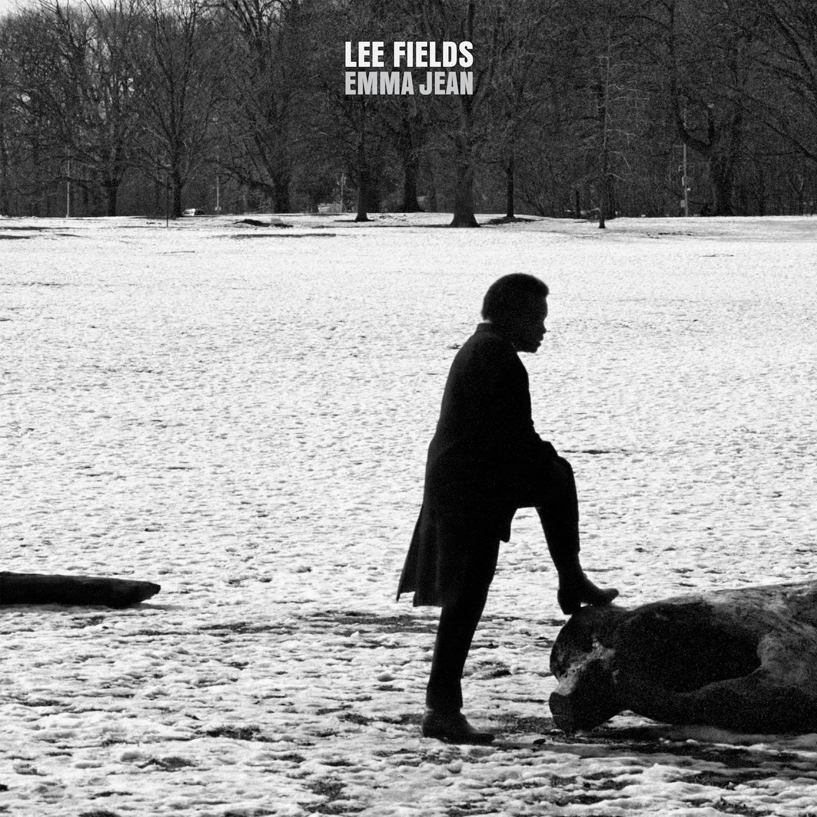 Lee Fields Emma Jean (Vinyl LP)
