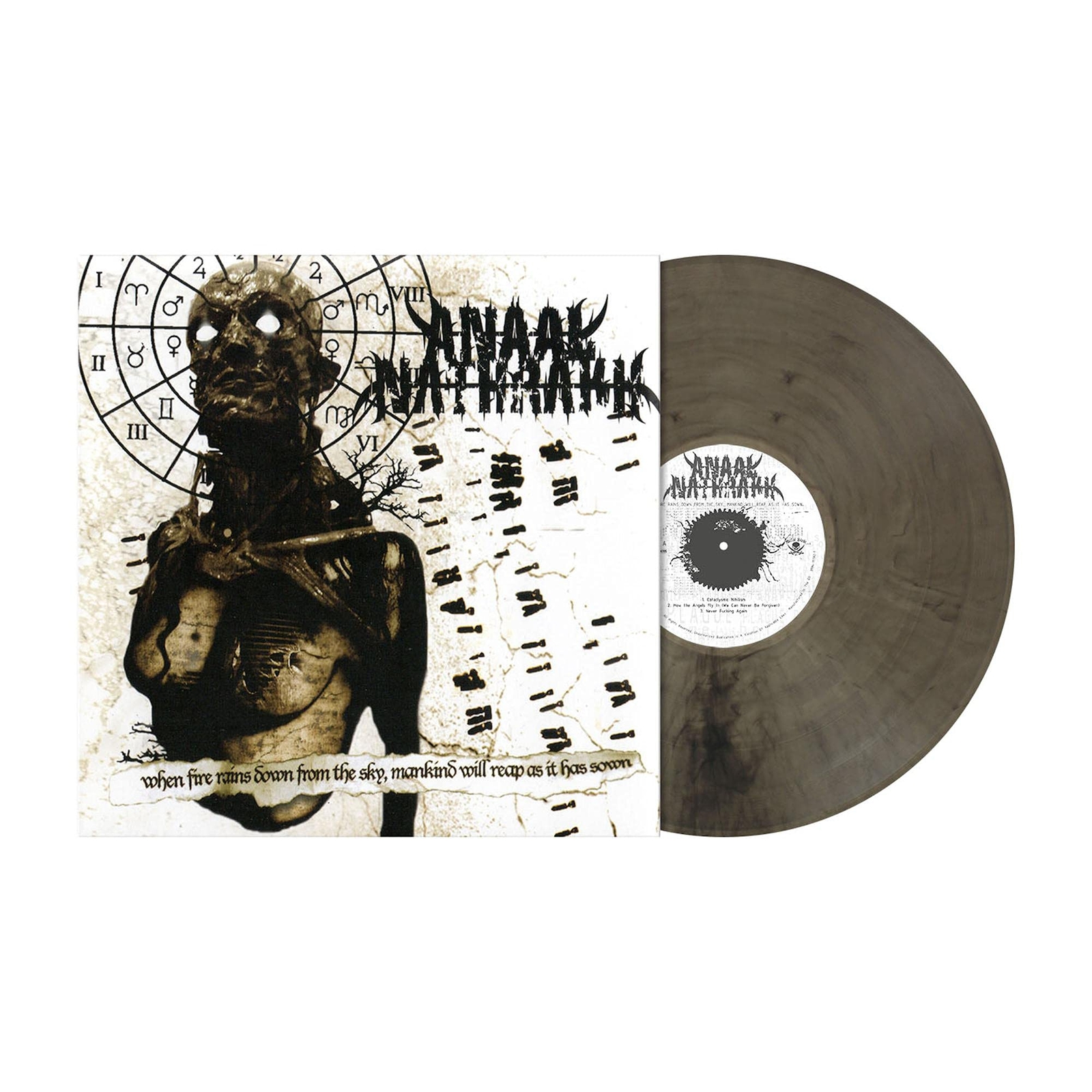 Anaal Nathrakh When Fire Rains Down From The Sky Mankind Will Reap As (Vinyl LP)