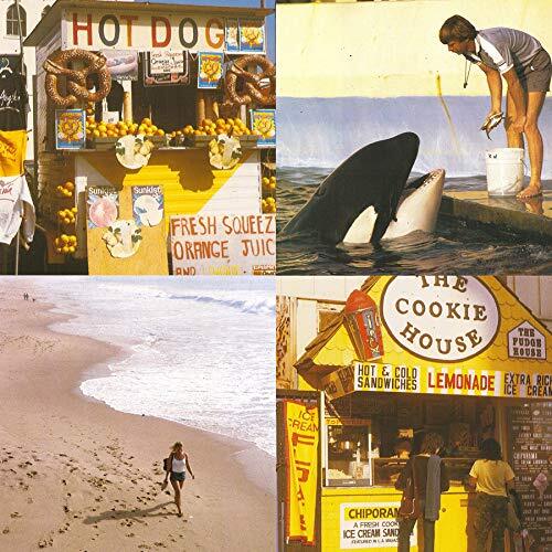 Best Coast Something in the Way (Vinyl LP)