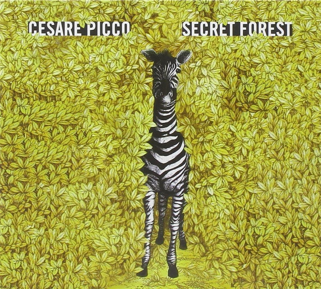 Secret Forest - Cesare Picco (Audio Cd)