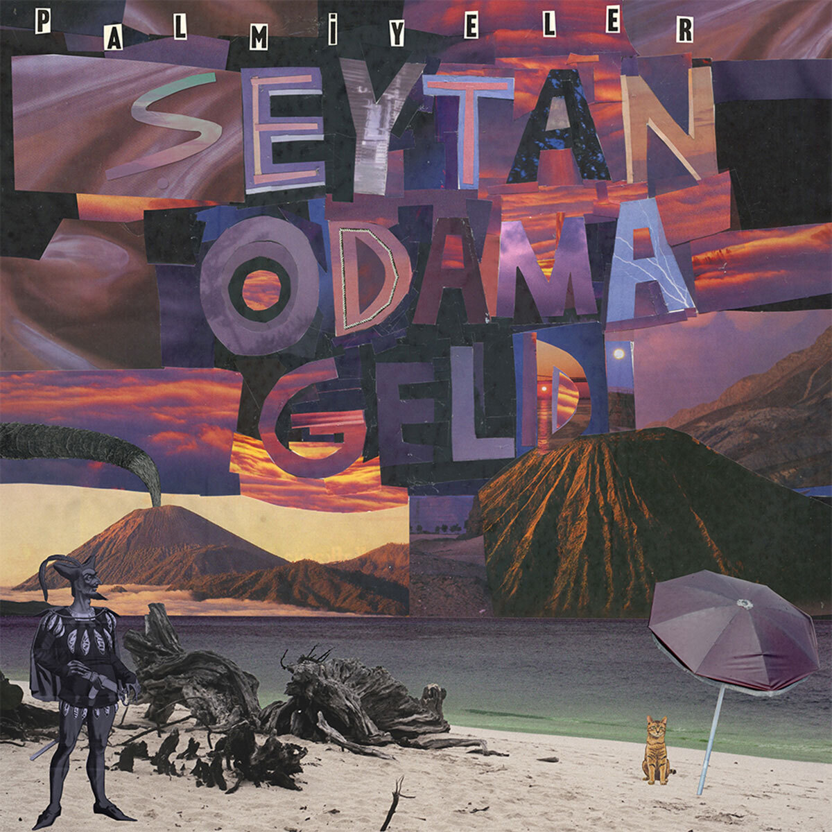 Palmiyeler Seytan Odama Geldi (Vinyl LP) 12" Album