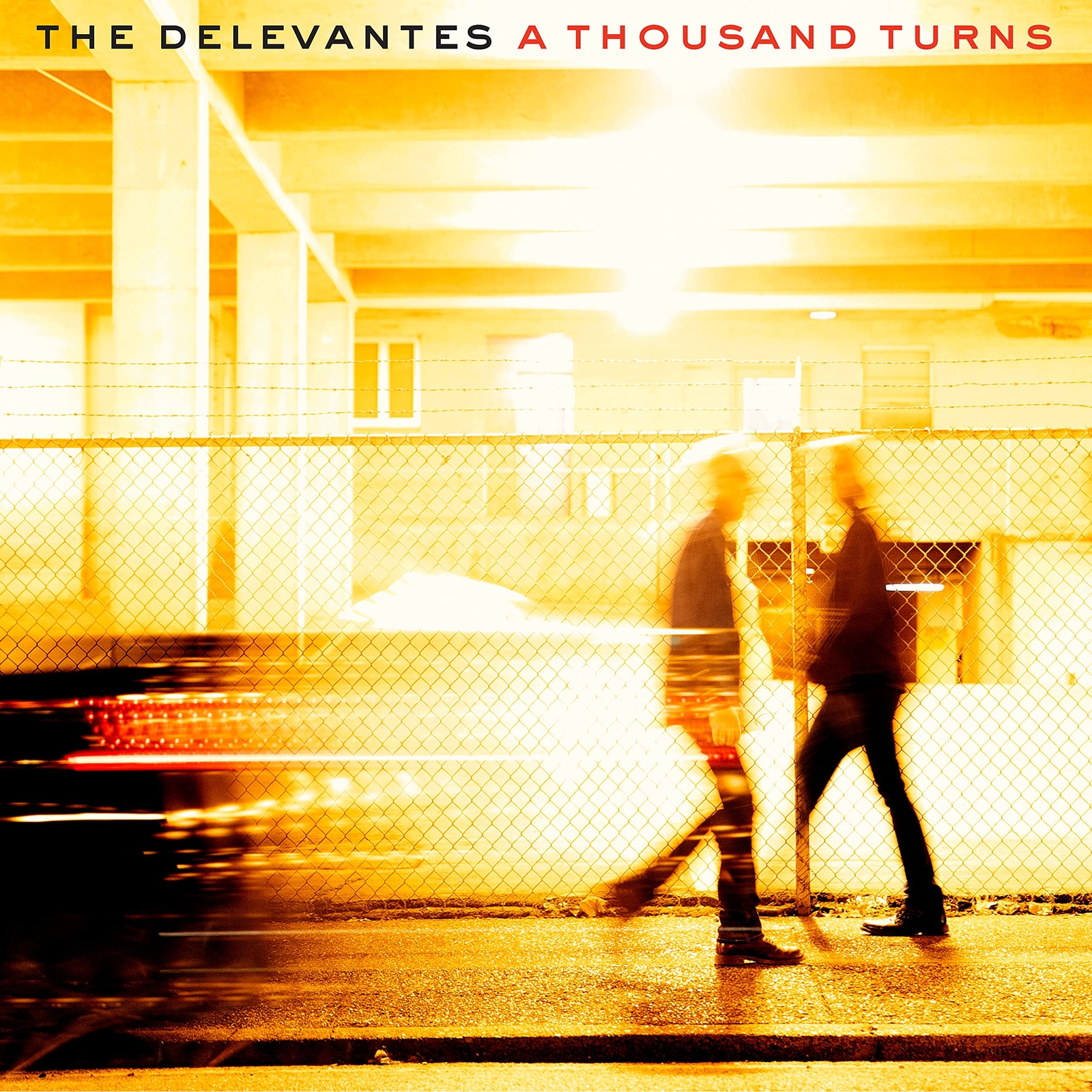 Delevantes Thousand Turns (Vinyl LP)