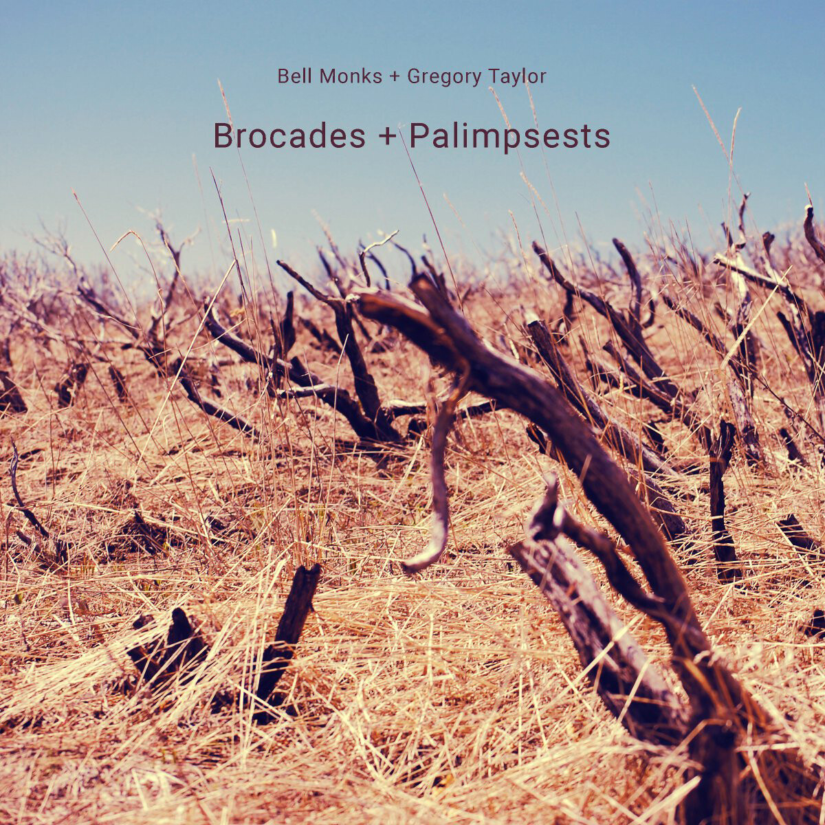 Bell Monks + Gregory Taylor Brocades + Palimpsests (CD) Album