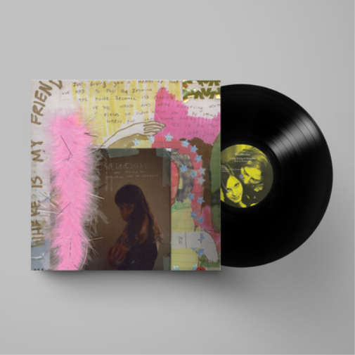 Wednesday I Was Trying to Describe You to Someone (Vinyl LP) 12" Album