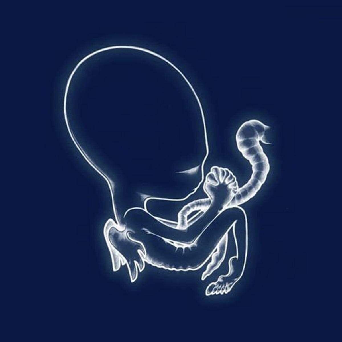 Sigur Rós Ágætis Byrjun (Vinyl LP) 12" Album