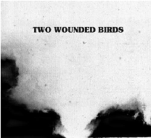 Two Wounded Birds Two Wounded Birds (CD) Limited  Album