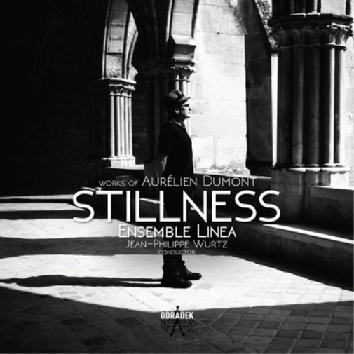 Aurélien Dumont Stillness: Works of Aurélien Dumont (CD) Album