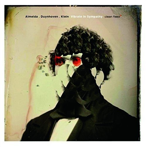Klein,Tobias Vibrate in Sympathy (CD)