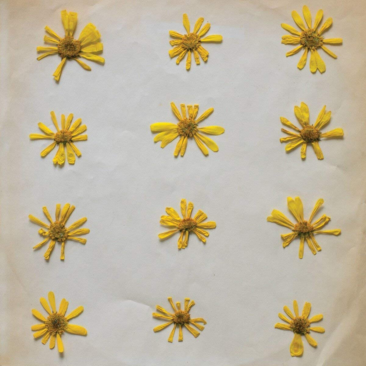 The Molochs Flowers in the Spring (CD) Album