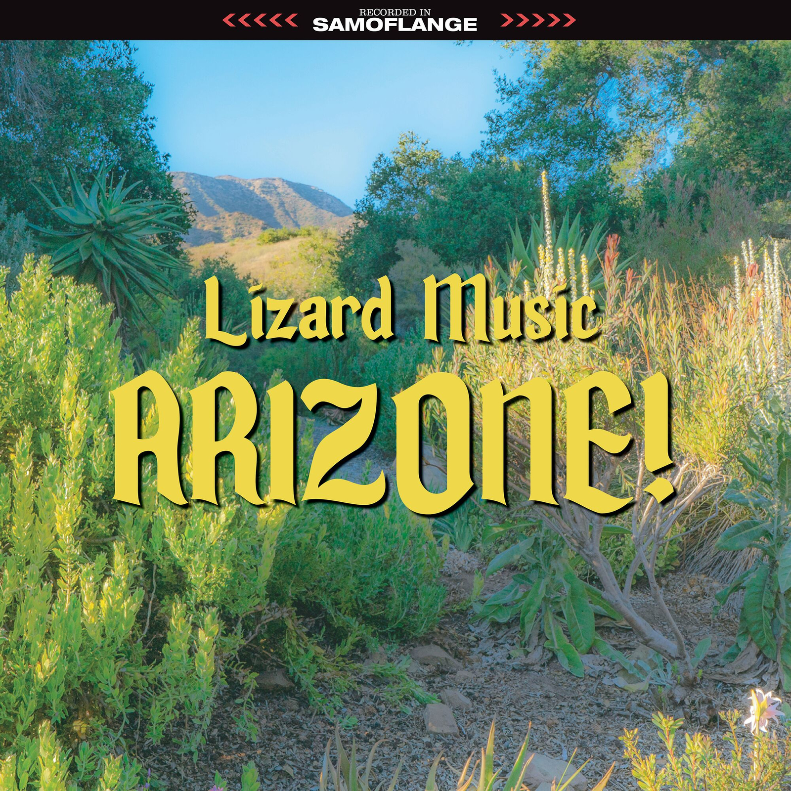 Lizard Music Arizone! (Vinyl LP) 12" Album