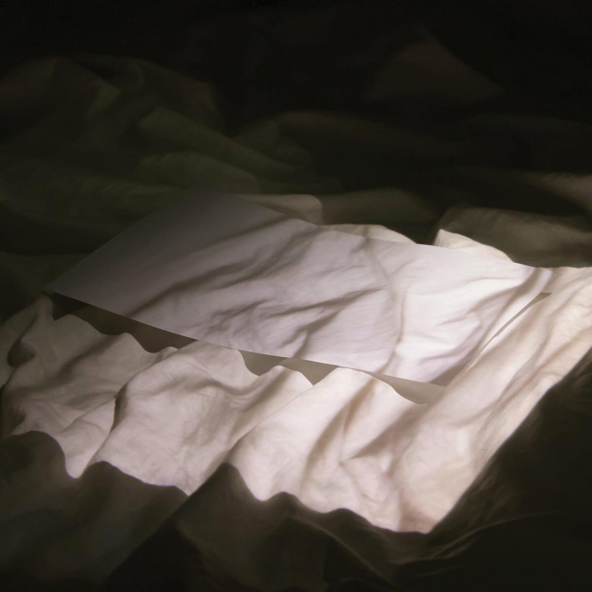 Holy Other Held (Vinyl LP)