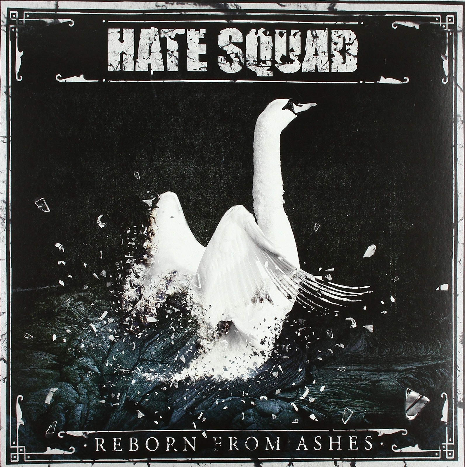 Hate Squad Reborn from Ashes (Lim.Clear (Vinyl LP)