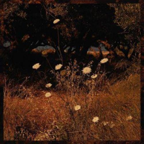 Earth Patterns - Szun Waves (Vinile)