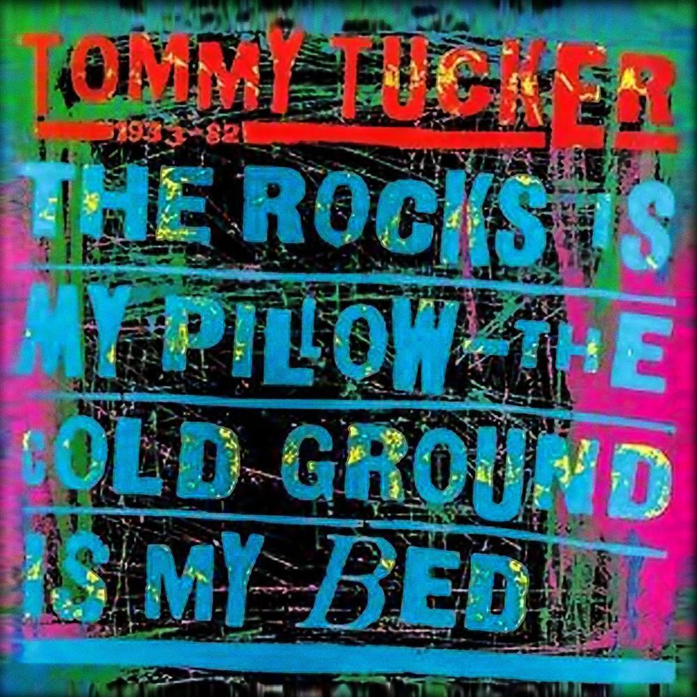 Rocks Is My Pillow - The Cold Ground Is My Bed - Tommy Tucker (Audio Cd)