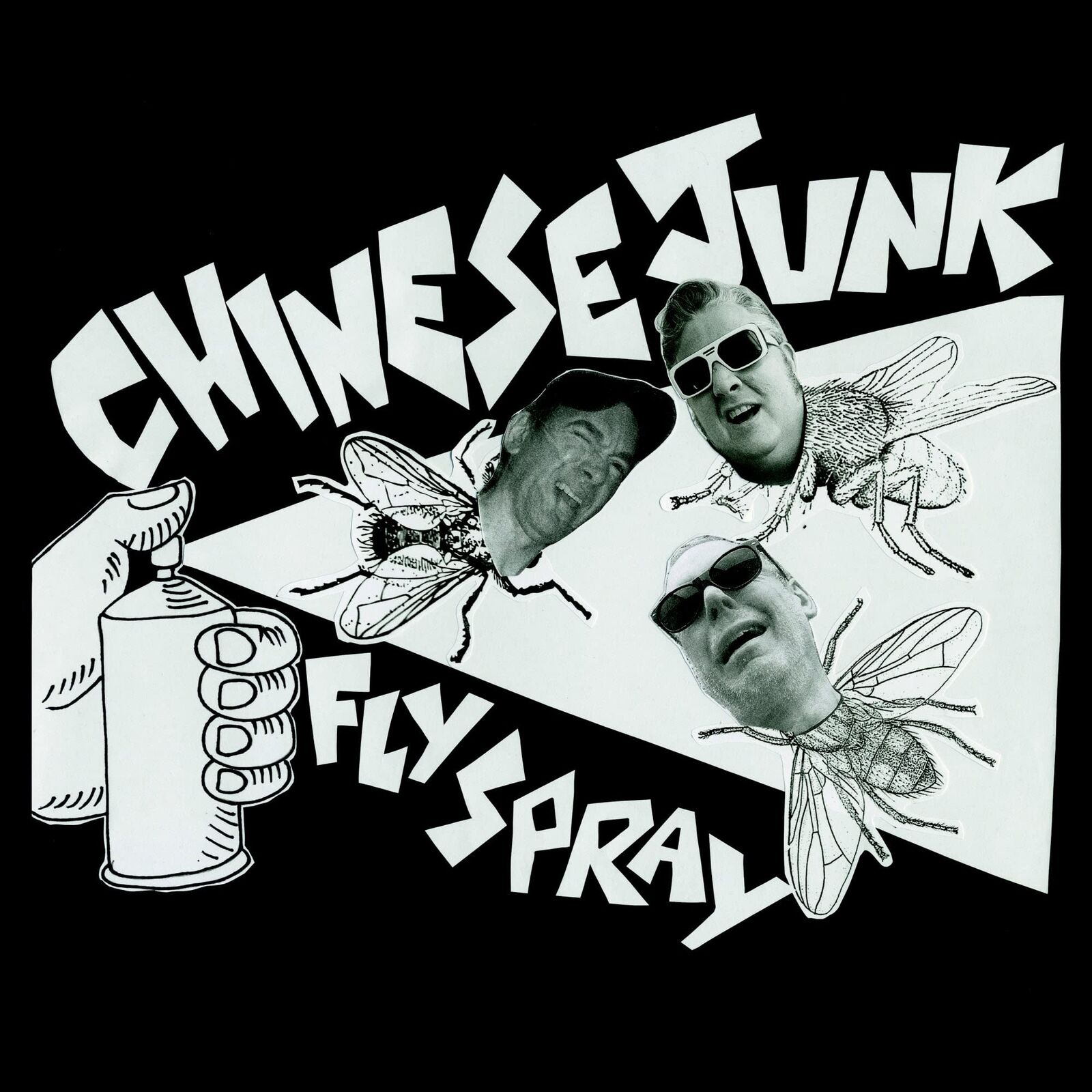 Fly Spray (Vinyl LP)