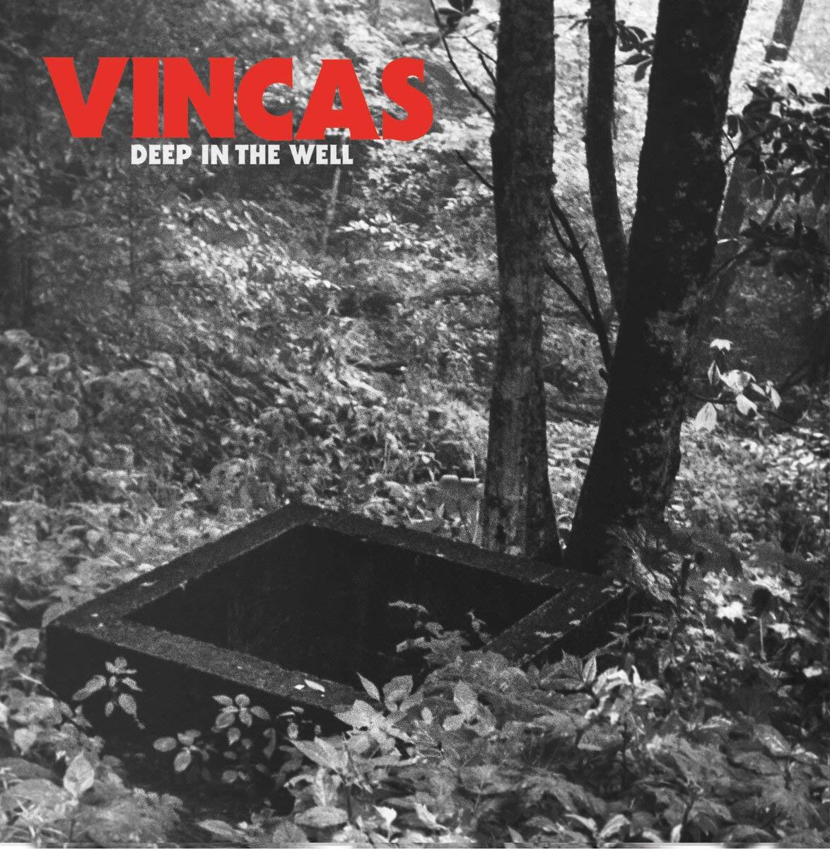 Deep In The Well (Vinyl LP)